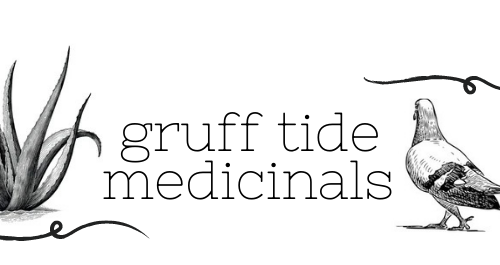 logo for "gruff tide medicinals" is of a aloe vera plant to the far left and a pigeon walking, not facing the viewer(s) on the far right. there are two curling lines above and below the aloe and pigeon.